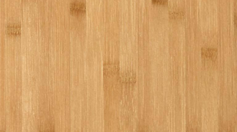 bamboo-1_0