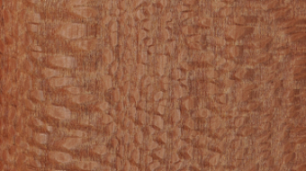 ic-resim14852721402412