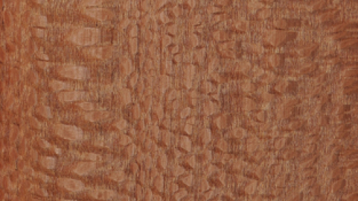 ic-resim14852721402412